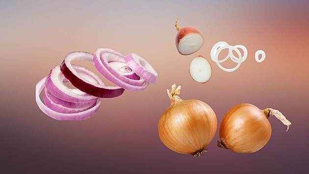 Onions are toxic to dogs