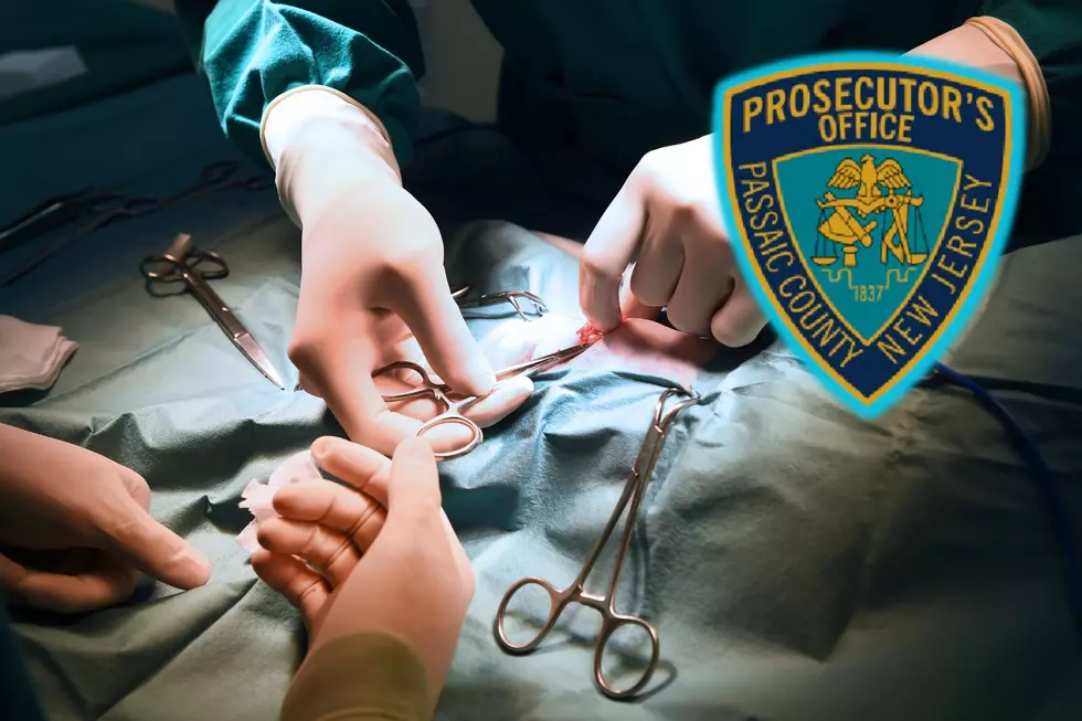 Prosecutor: Owner, workers posed as fake vets at NJ animal hospital