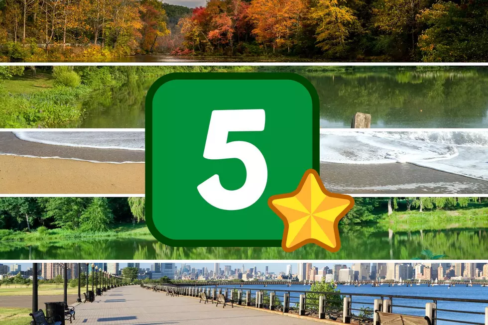Gotta visit! My 5 favorite parks in New Jersey