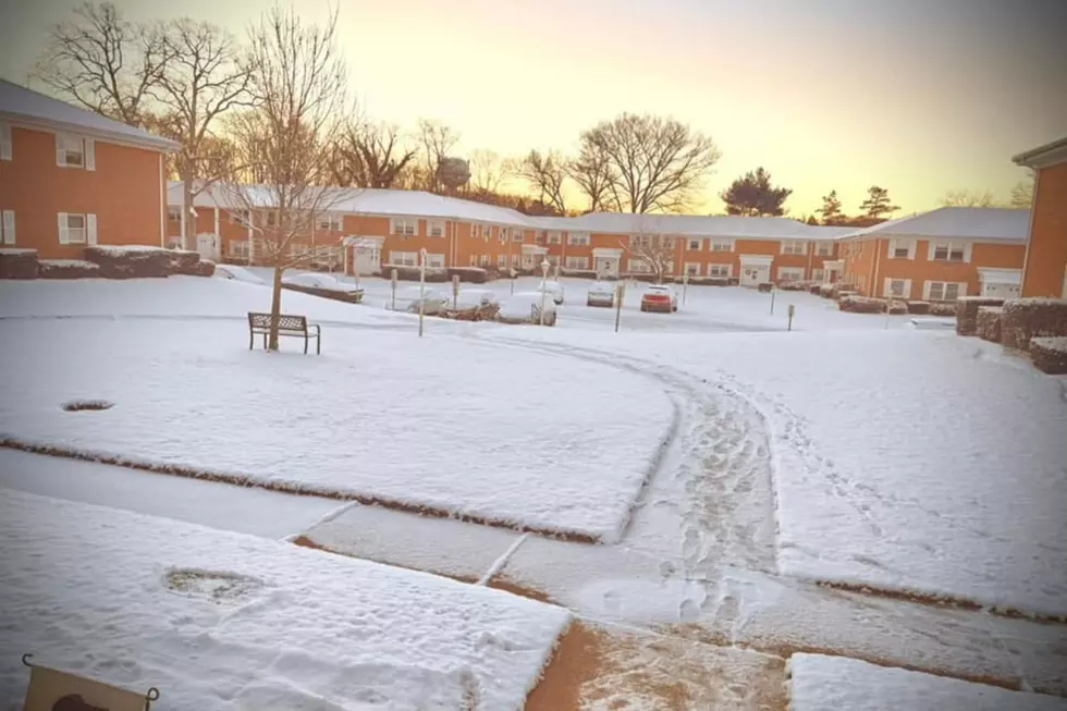 Snow in Wall Township 1/29/25