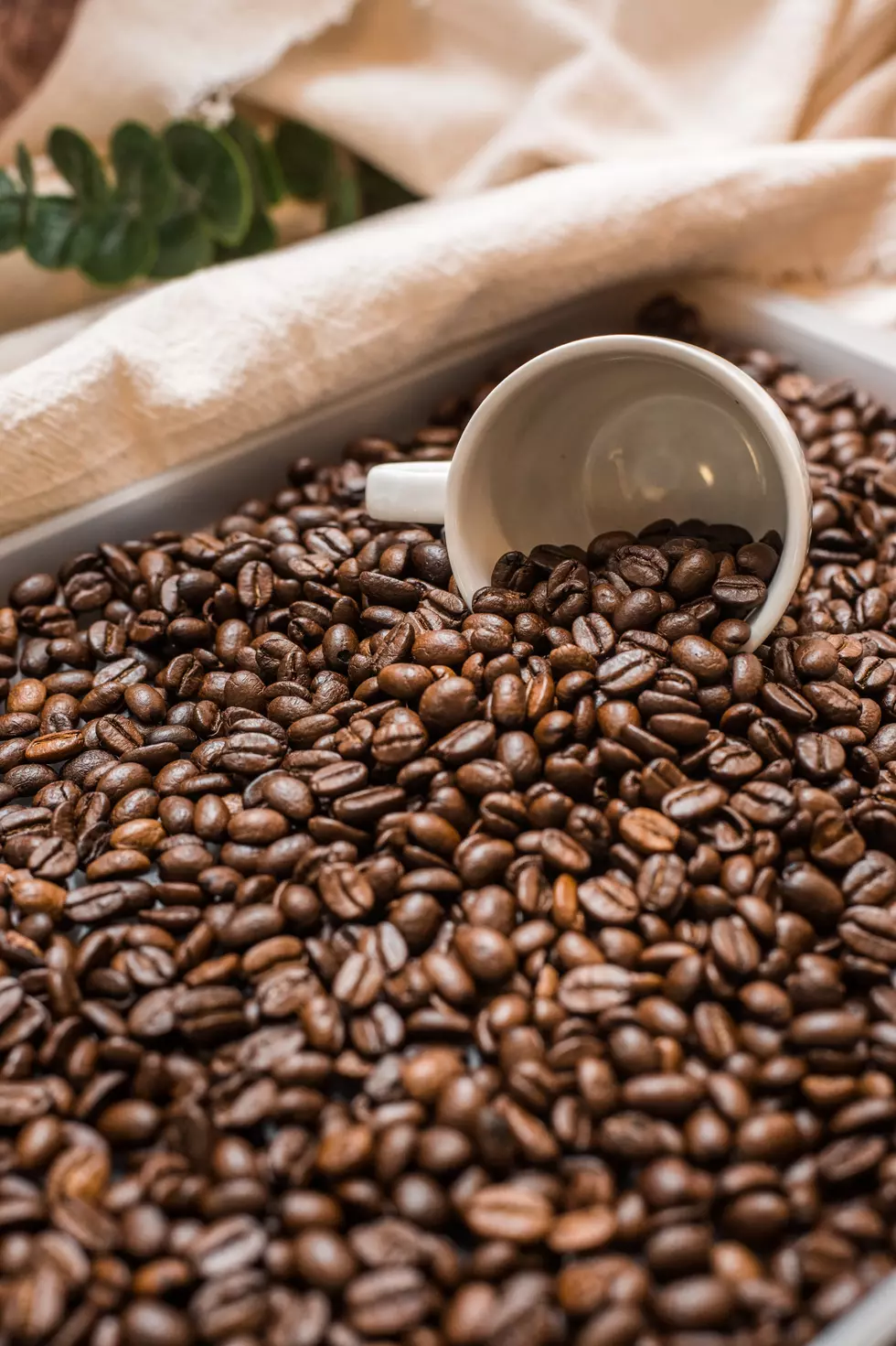 The Very Best Coffee Shop in New Jersey