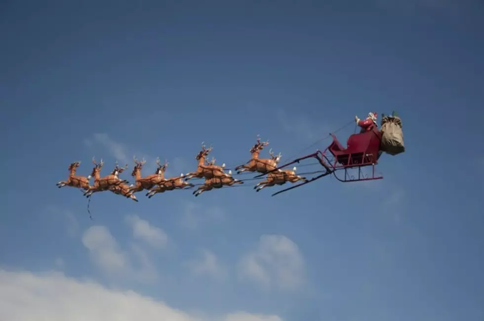 Find Santa’s Reindeer This Weekend at the Cape May County Zoo