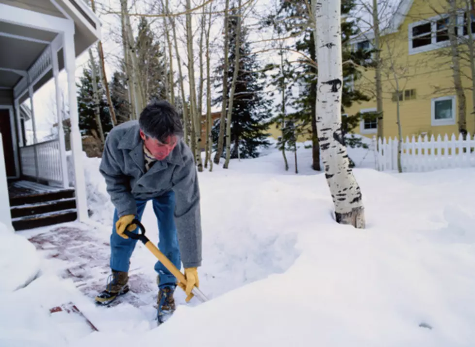 South Jersey Snow Accumulations From Winter Storm Jonas (So Far)