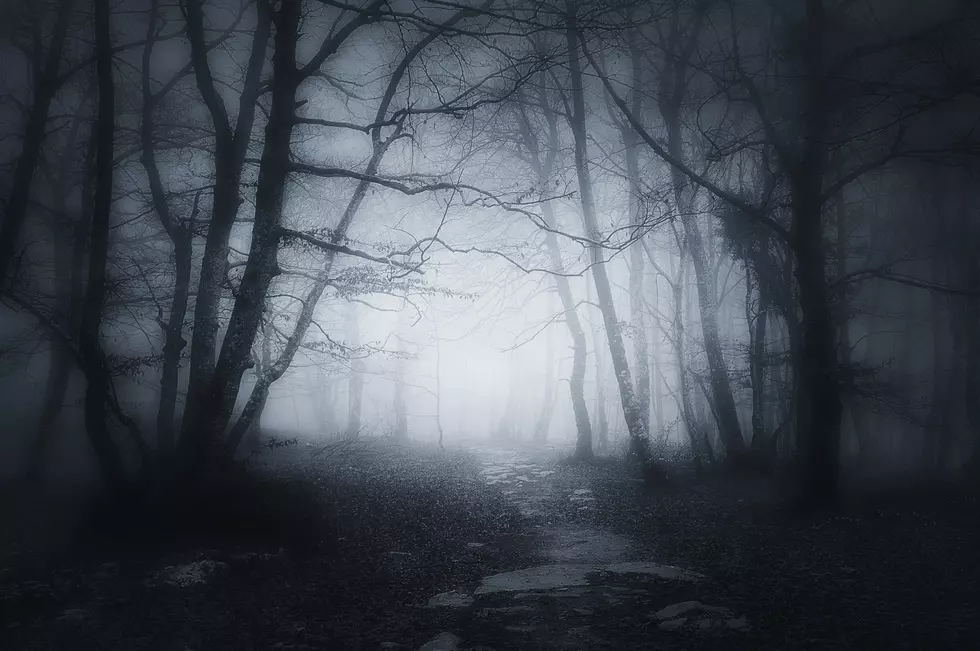5 New Jersey Roads That Really Give Us the Creeps
