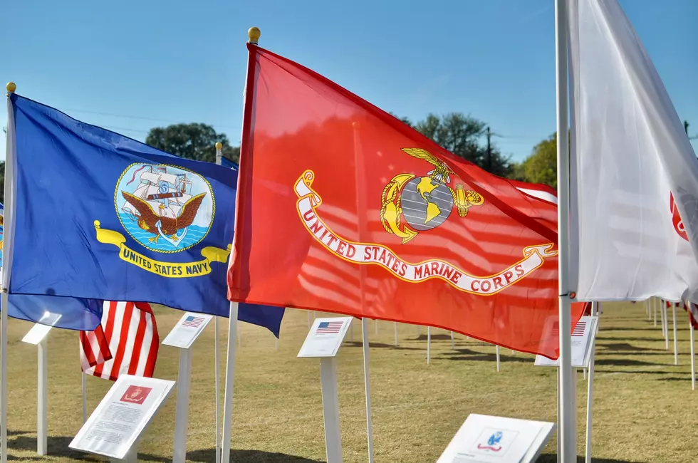 Hope And Healing: Mental Health Services for Veterans