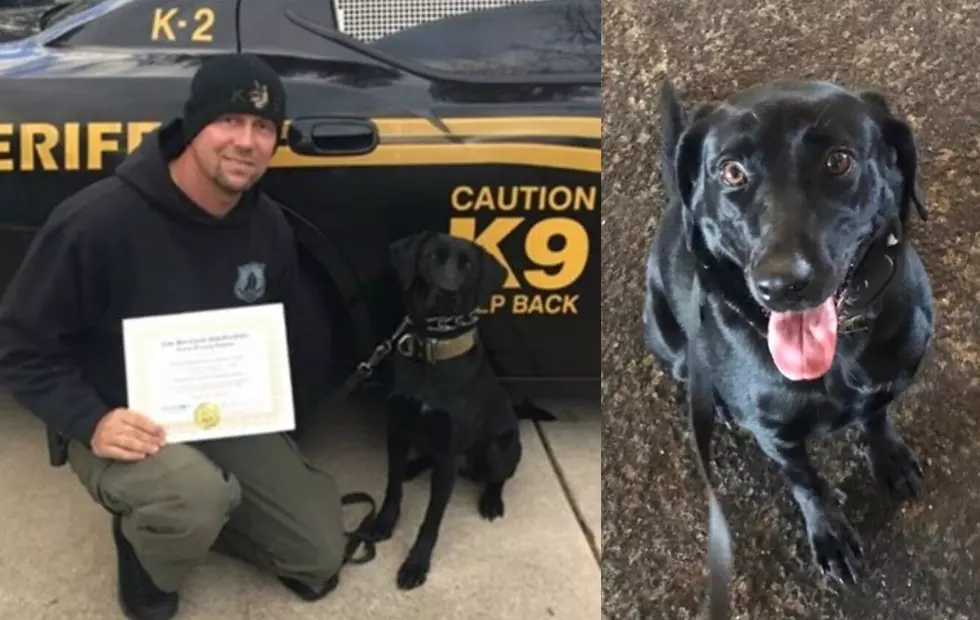 Retired Atlantic County Sheriff’s K-9 Max Remembered